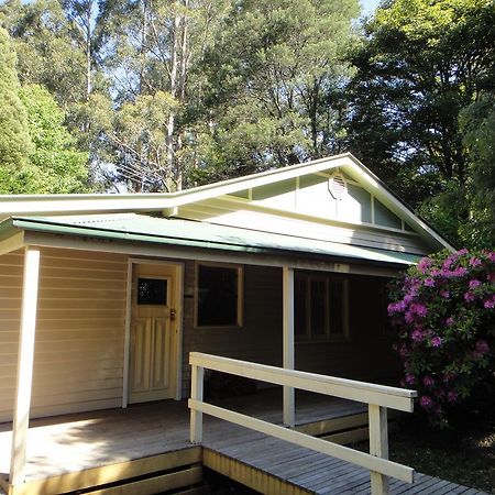 Credo Cottages Olinda Luaran gambar