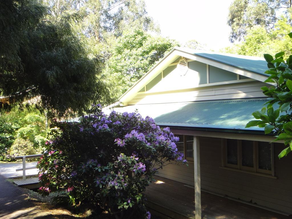 Credo Cottages Olinda Luaran gambar